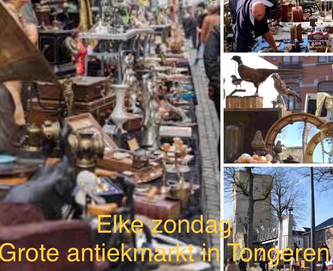 Vakantiehuisje Vds Tongeren Εξωτερικό φωτογραφία